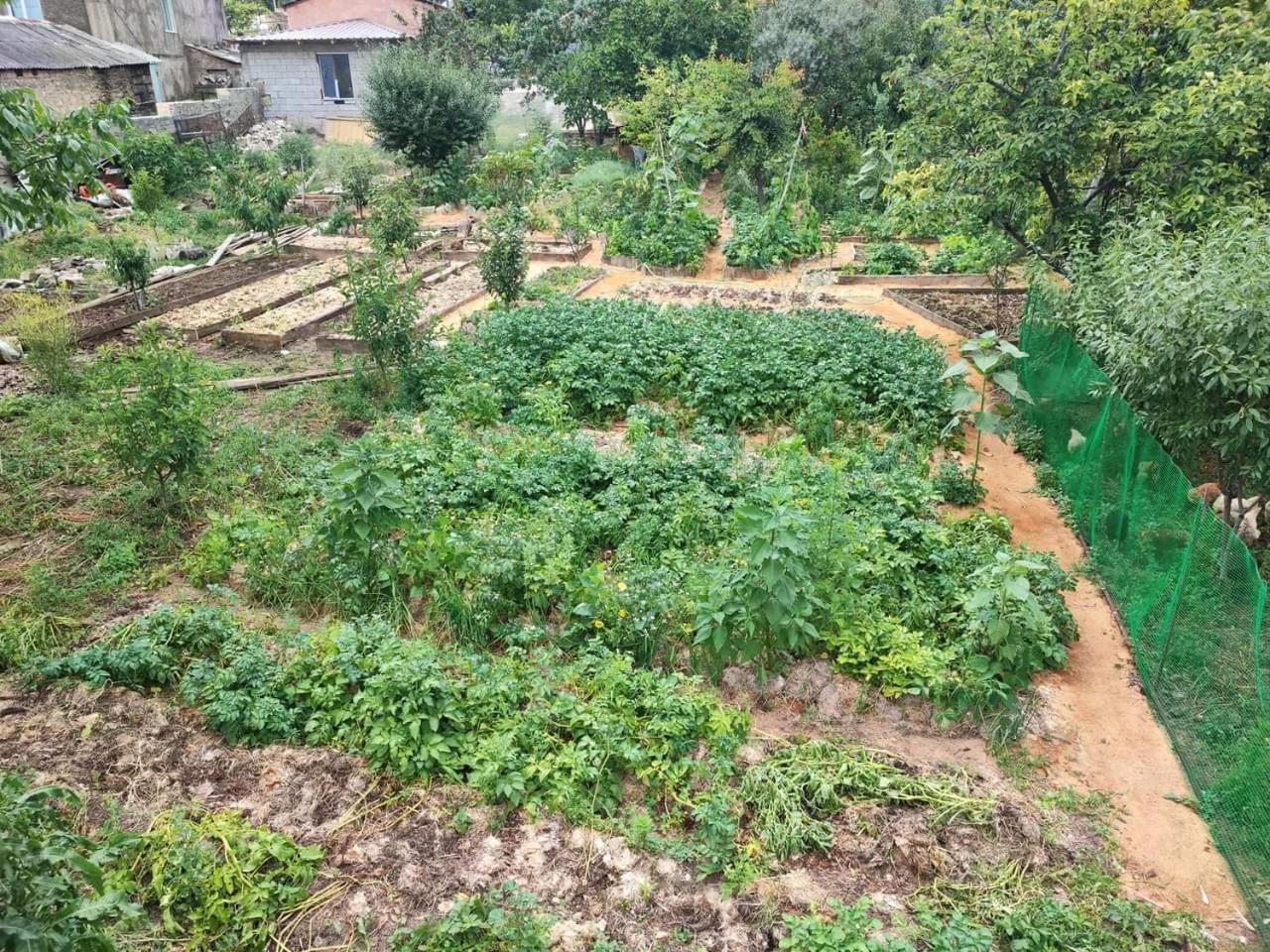 Berdavan Guesthouse Dış mekan fotoğraf